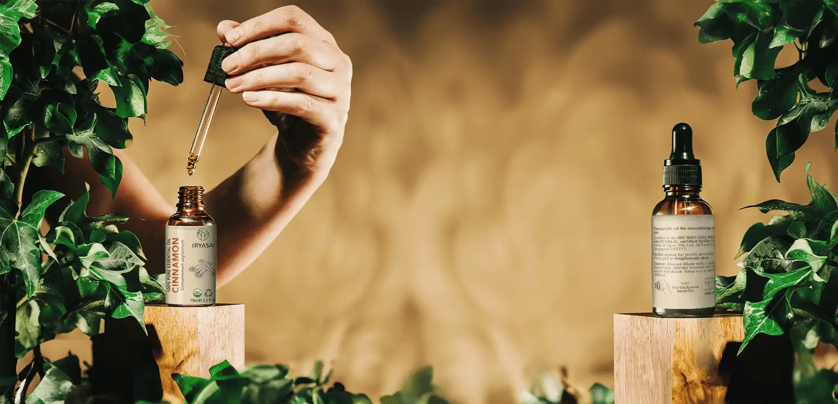 the art of problem solving branding creativeans singapore